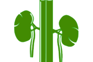 What Is Diabetic Nephropathy (Kidney Disease)?