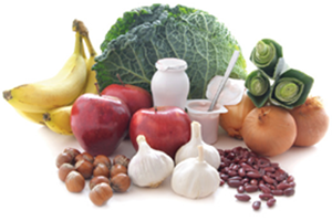 Prebiotics help to maintain a healthy digestive system