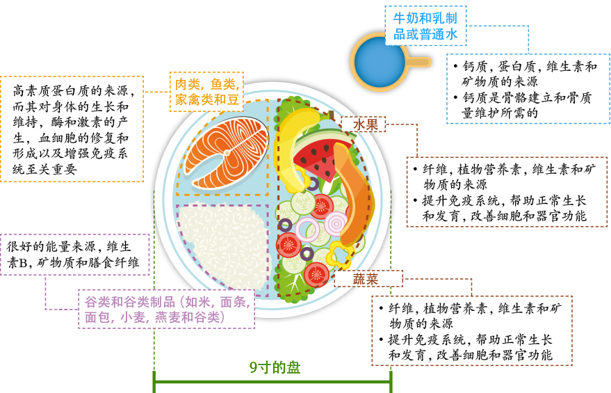 What is a healthy, balanced diet?