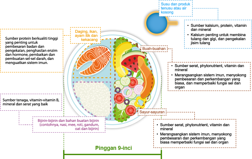 What is a healthy, balanced diet?