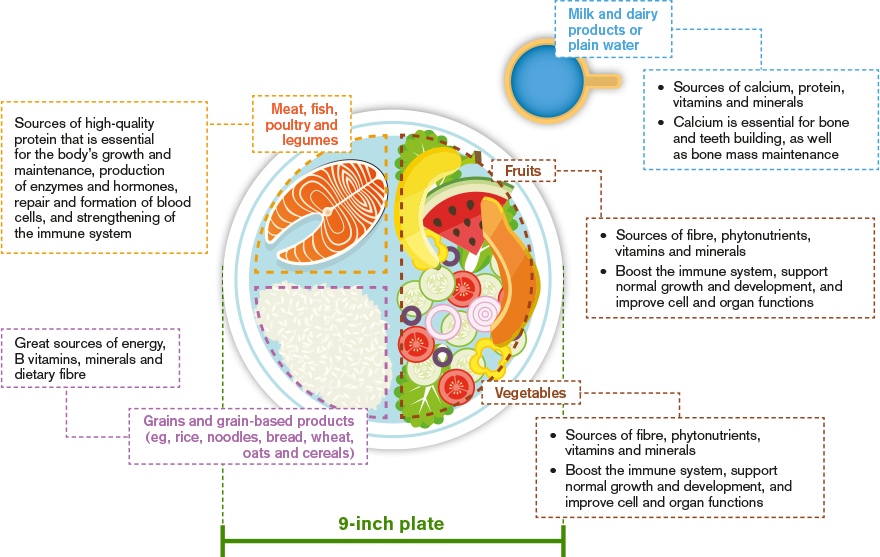 What is a healthy, balanced diet?