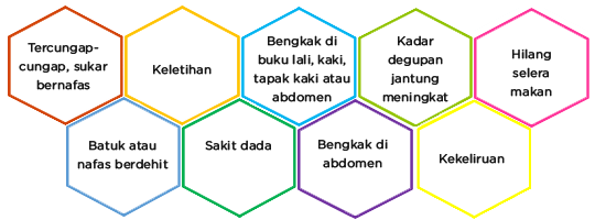 hexa