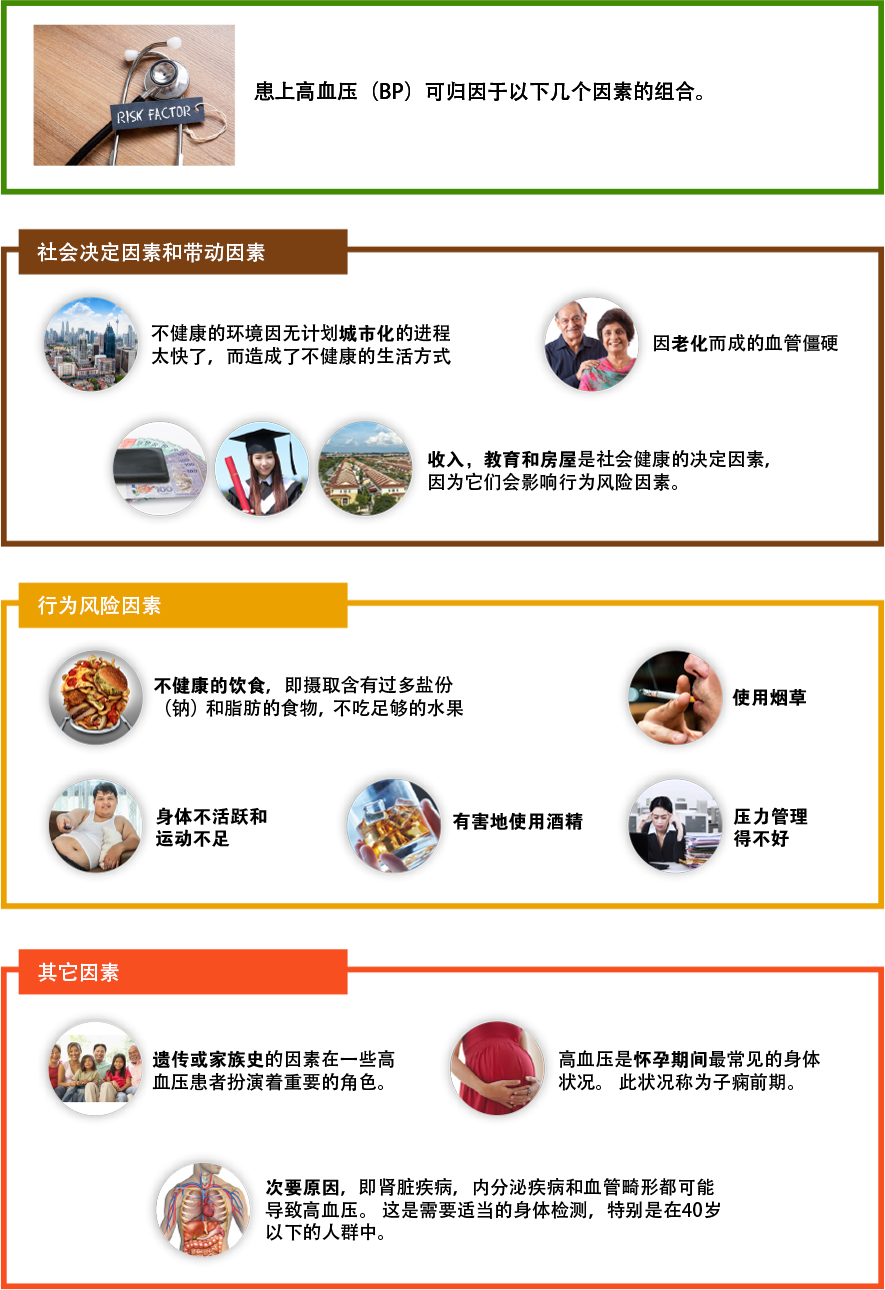 Main factors that contribute to high blood pressure