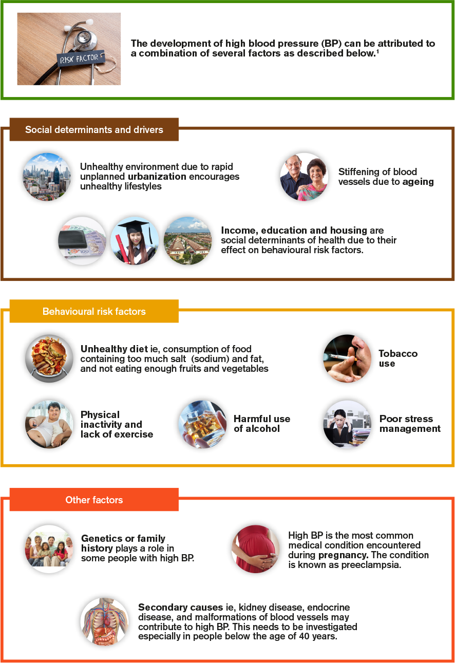 Main factors that contribute to high blood pressure