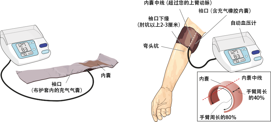 What to know before I start measuring my blood pressure at home?