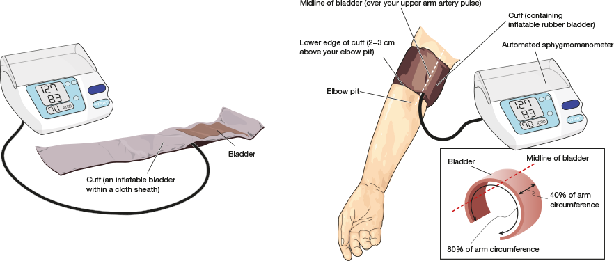 What to know before I start measuring my blood pressure at home?