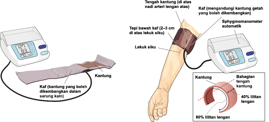 What to know before I start measuring my blood pressure at home?