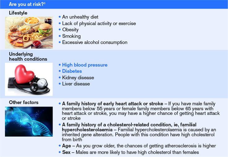 what are the risk factors for high cholestrol?