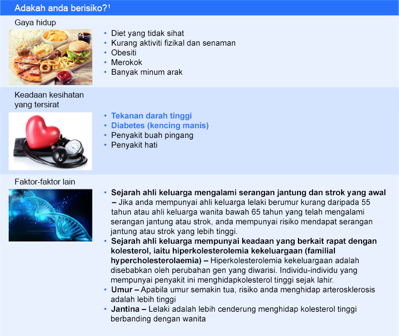 Apakan faktor-faktor risiko untuk kolesterol tinggi?
